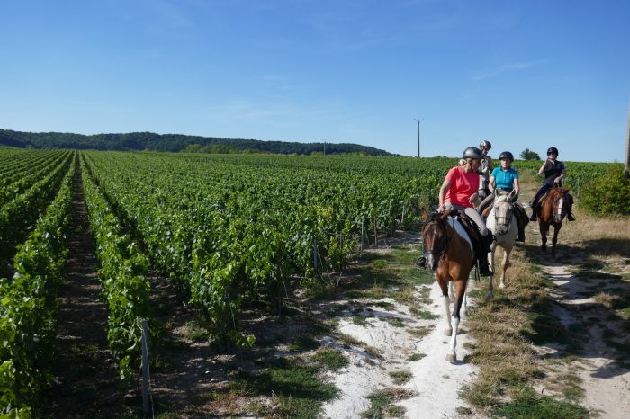Chevauchée pétillante à travers la Champagne