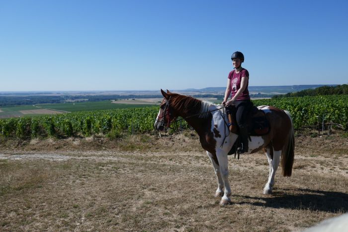 Chevauchée pétillante à travers la Champagne