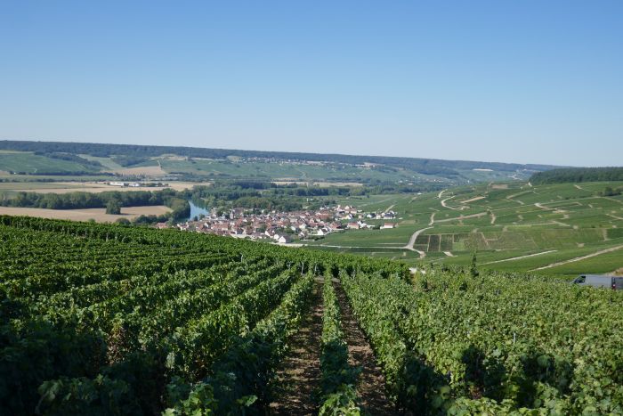 Chevauchée pétillante à travers la Champagne