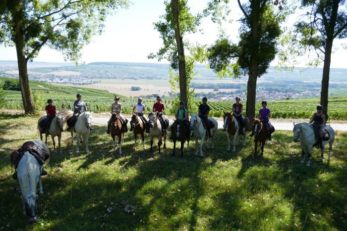 Chevauchée pétillante à travers la Champagne