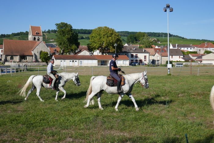 Chevauchée pétillante à travers la Champagne