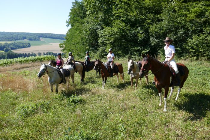 Chevauchée pétillante à travers la Champagne