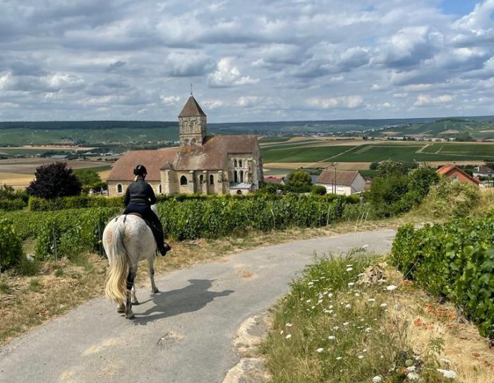 Chevauchée pétillante à travers la Champagne