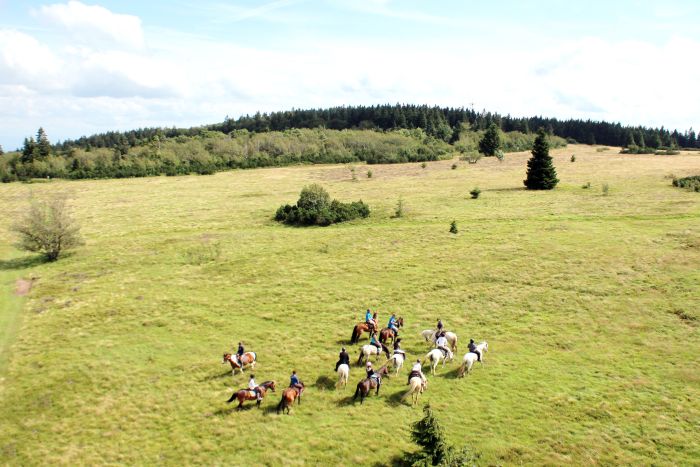 Vacances &agrave; cheval dans la belle Alsace