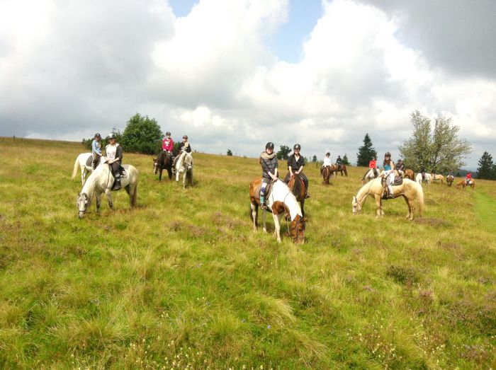 Vacances &agrave; cheval dans la belle Alsace