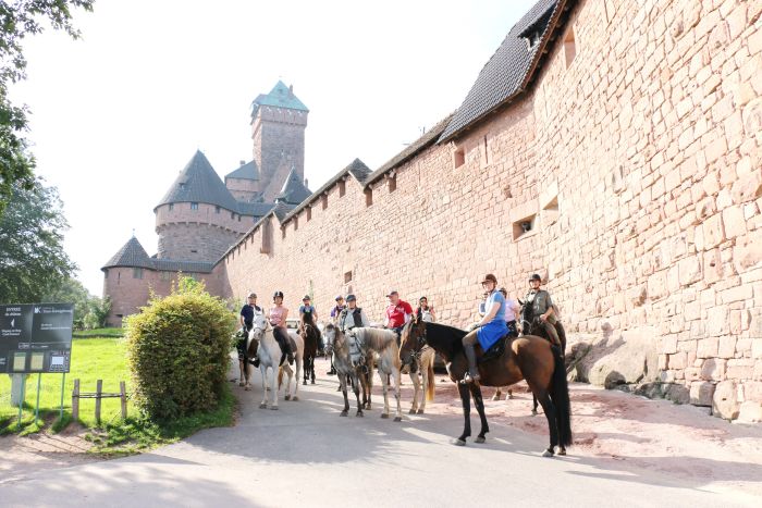 Vacances &agrave; cheval dans la belle Alsace