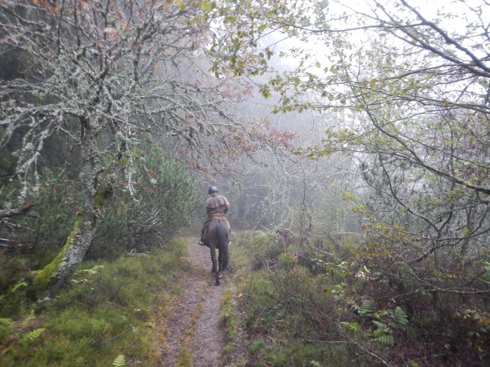 Vacances &agrave; cheval dans la belle Alsace