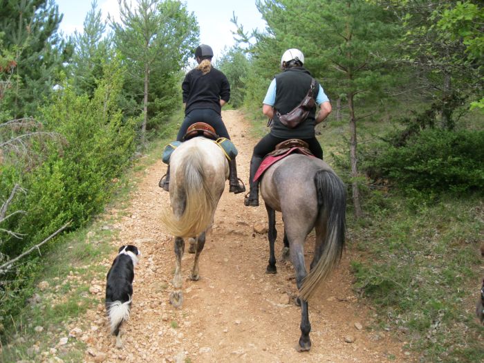 La traversée de l'Alsace au galop