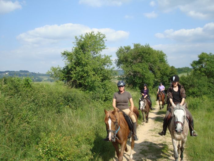 La traversée de l'Alsace au galop