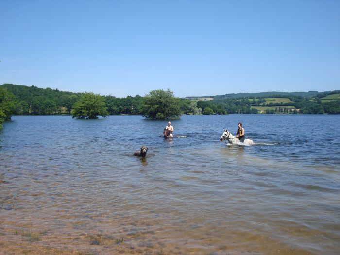 La traversée de l'Alsace au galop