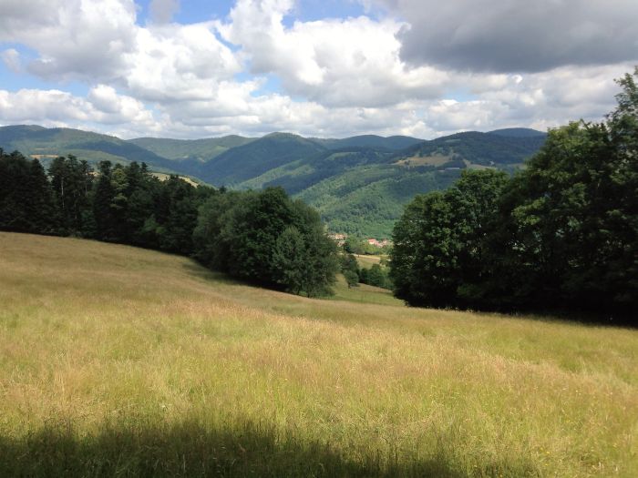 La traversée de l'Alsace au galop