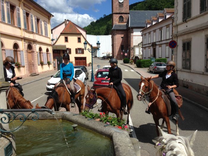 La traversée de l'Alsace au galop