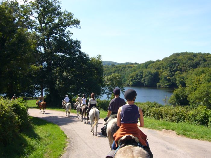 La traversée de l'Alsace au galop