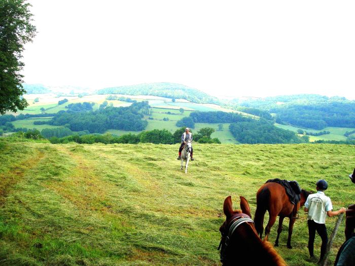 La traversée de l'Alsace au galop