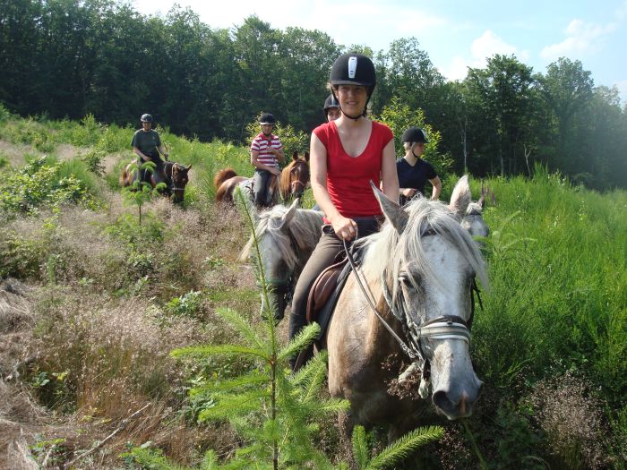 La traversée de l'Alsace au galop