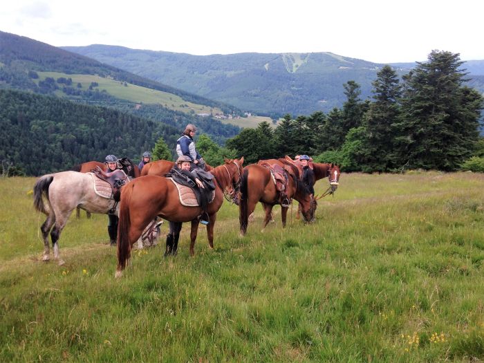La traversée de l'Alsace au galop