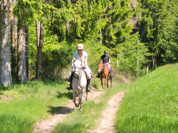 La randonnée du Morvan
