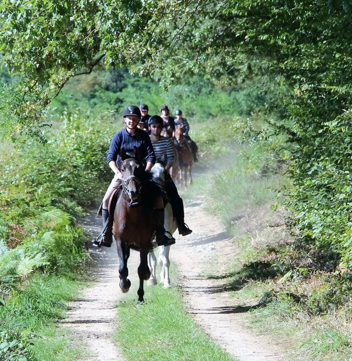 La randonnée du Morvan