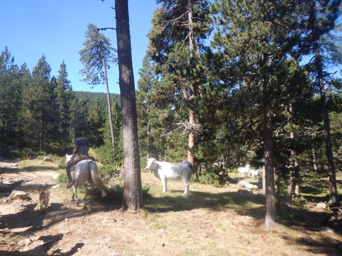 Pyrénées et lacs