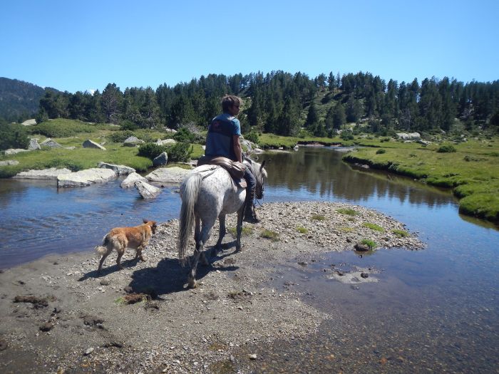 Pyrénées et lacs