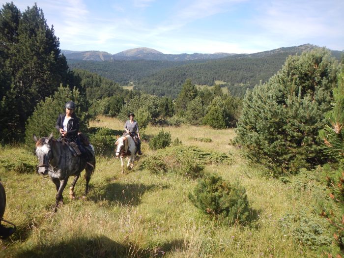 Pyrénées et lacs