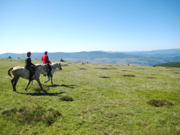 Randonnée en montagne dans les Cévennes