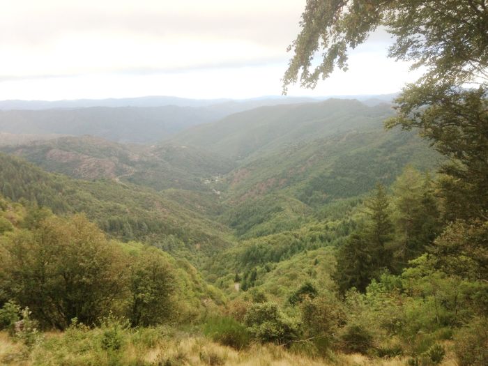 Randonnée en montagne dans les Cévennes