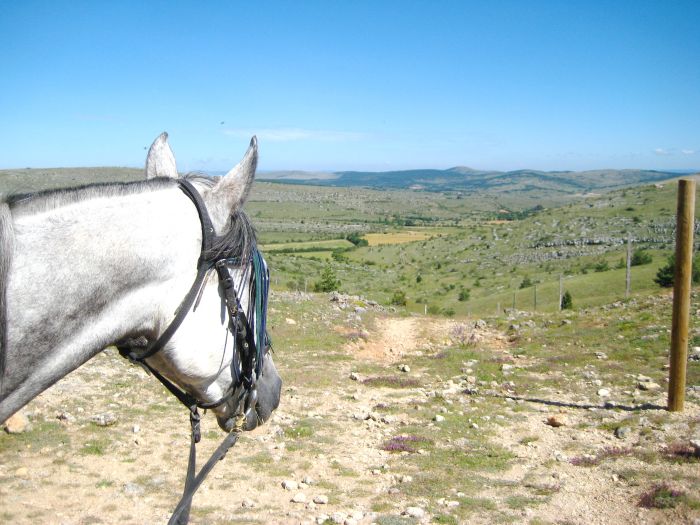 Randonnée en montagne dans les Cévennes
