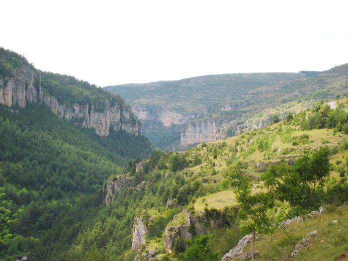 Randonnée en montagne dans les Cévennes