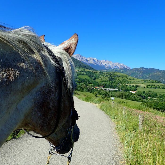 Trekking au coeur des Pyrénées