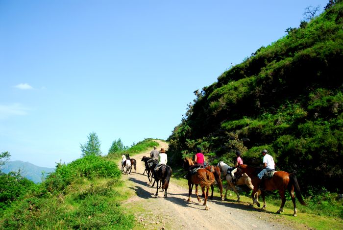 Trail entre Pyrénées et plages