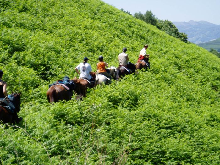 Trail entre Pyrénées et plages