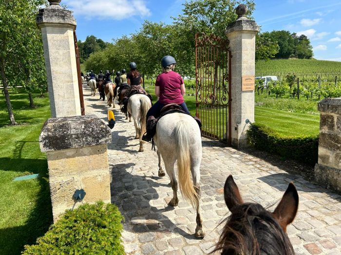 Châteaux vinicoles bordelais