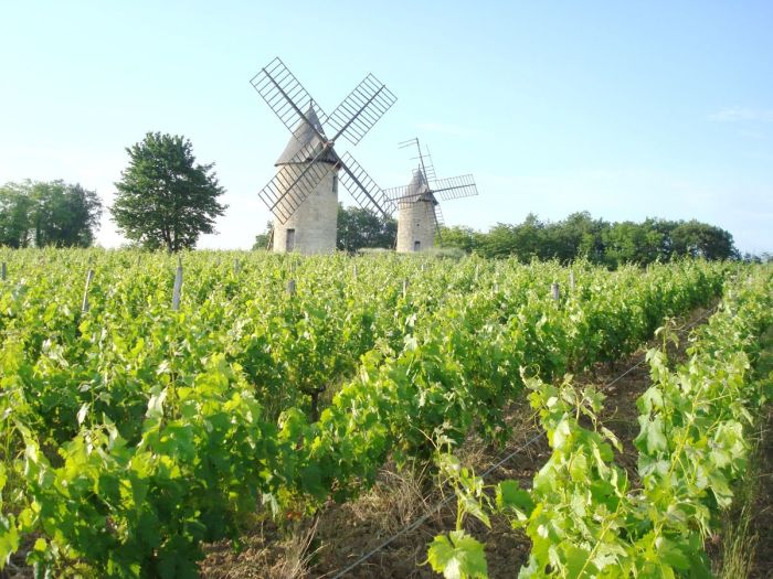 Châteaux vinicoles bordelais