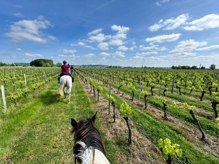 Châteaux vinicoles bordelais