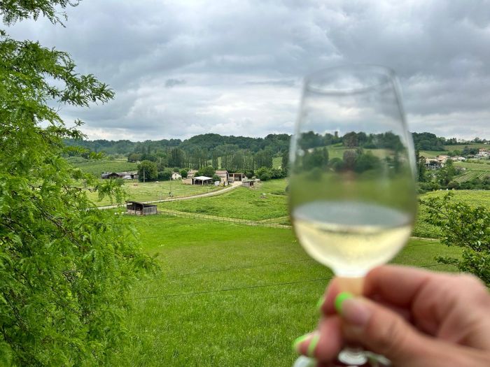 Châteaux vinicoles bordelais