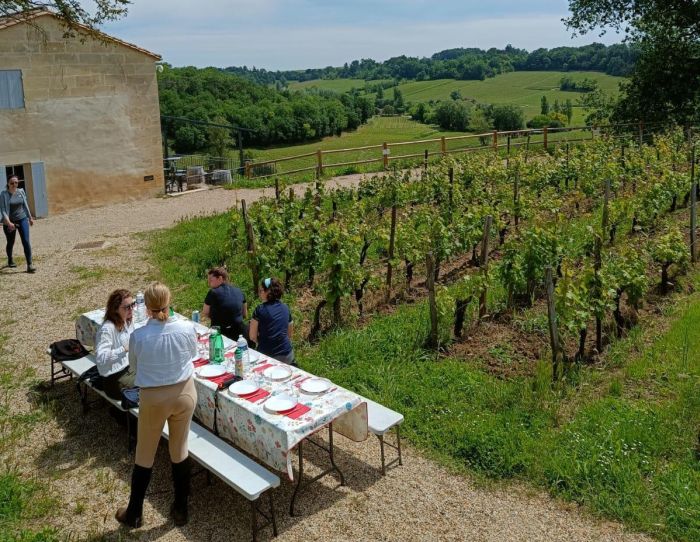 Châteaux vinicoles bordelais