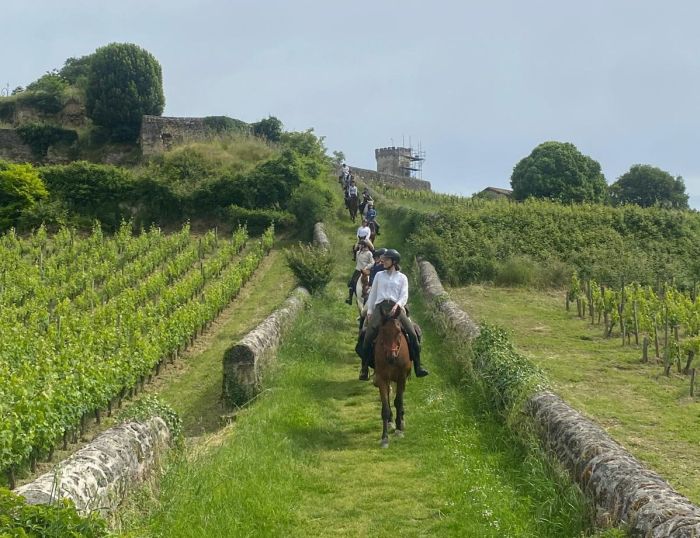 Châteaux vinicoles bordelais