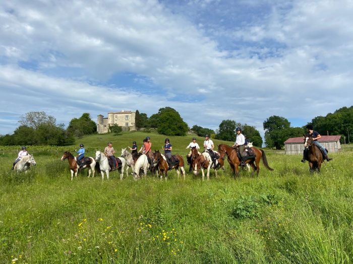 Châteaux vinicoles bordelais