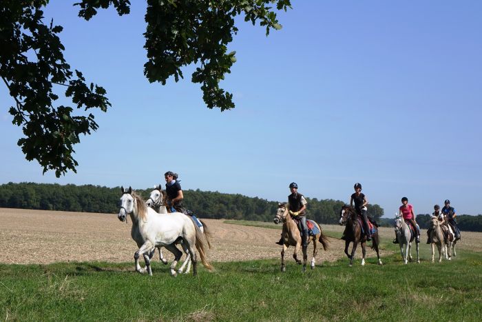 Châteaux de la Loire - Randonnées pour les connaisseurs