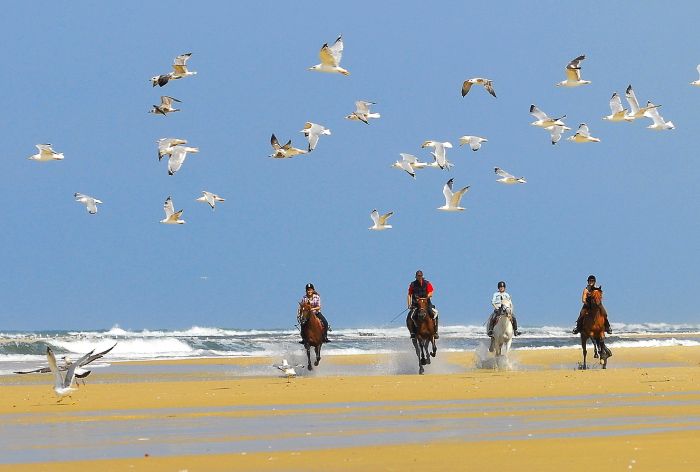 Randonnée en atlantique française