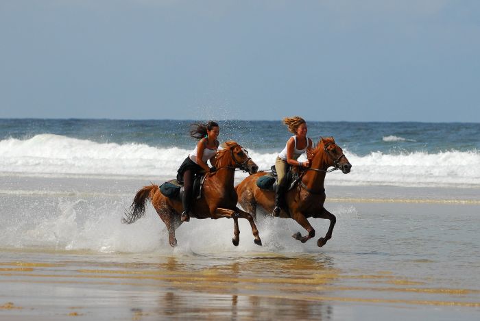 Randonnée en atlantique française