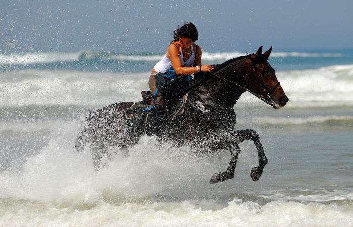 Randonnée en atlantique française
