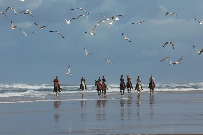 Randonnée en atlantique française
