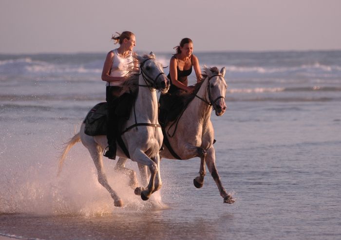 Randonnée en atlantique française