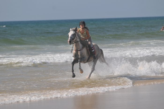 Randonnée en atlantique française