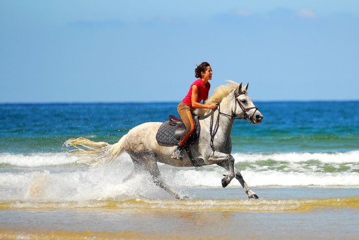 Randonnée en atlantique française