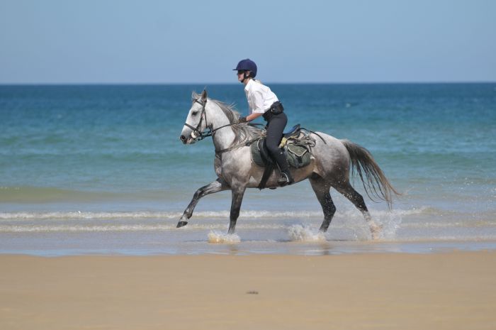 Randonnée en atlantique française