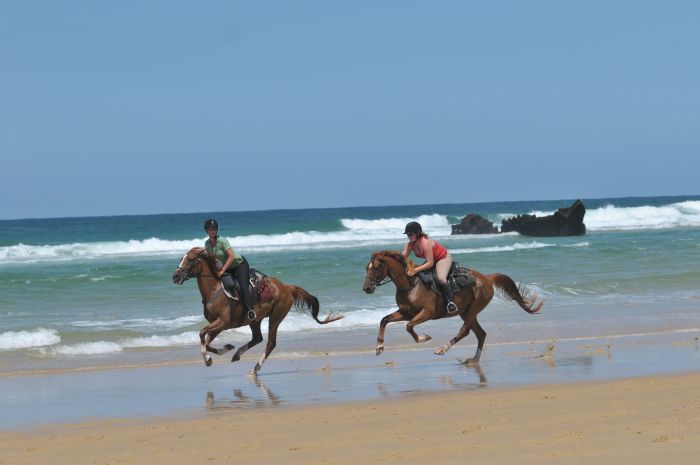 Randonnée en atlantique française