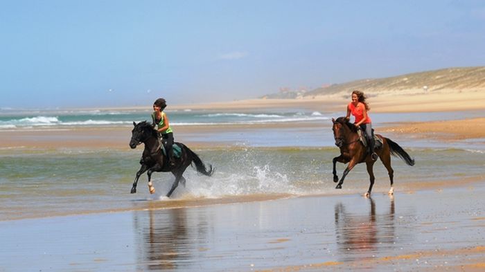 Randonnée en atlantique française